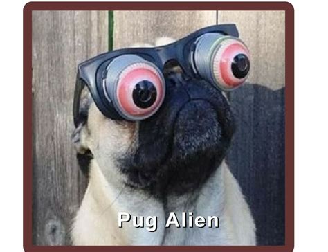 Funny Pug Dog Alien Refrigerator Tool Box Magnet Ebay