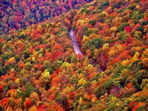 West Virginia Fall Foliage Fall Pinterest
