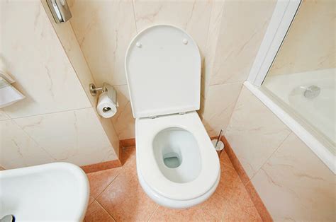 The Best Septic Safe Toilet Cleaners Savvy Natural Cleaning