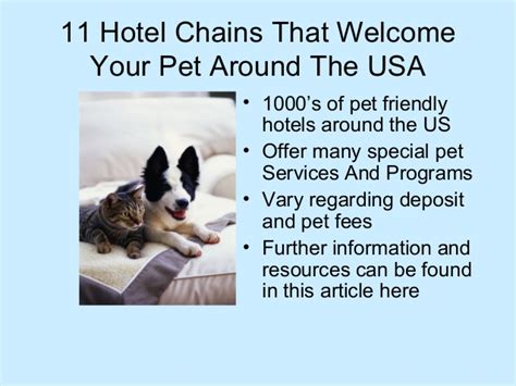 However, pets can be no longer than 36 inches and no taller than 36 inches (larger dogs require the property manager's approval). Best Pet Friendly Hotels Chains In The USA That Welcome ...