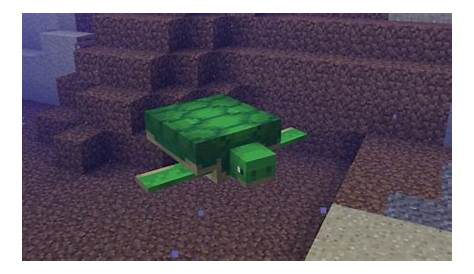 What Do Sea Turtles Eat in Minecraft? - Gaming Blogs