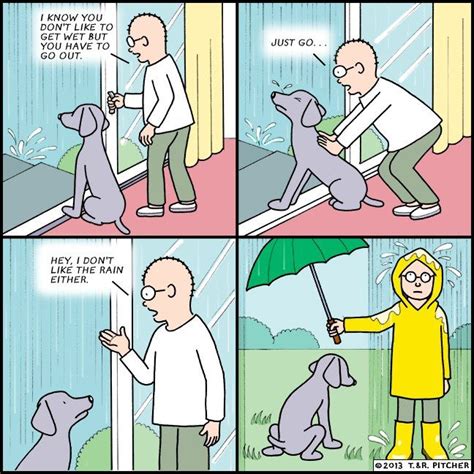 How To Take Dog Out In The Rain Wags And Whiskers Cool Pets Dog Jokes