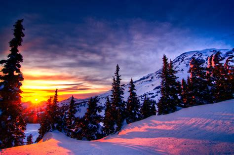 Free Download Sunset Winter Trees Mountains Landscape Wallpaper