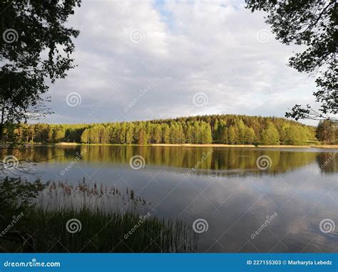 Island On The Opposite Side Stock Image Image Of Landscape Plant