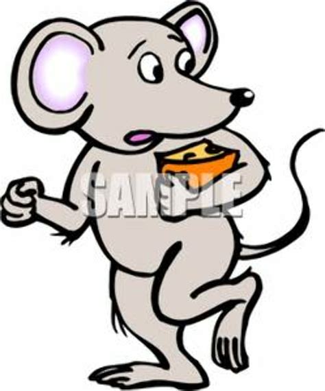 Download High Quality Mouse Clipart Scared Transparent Png Images Art