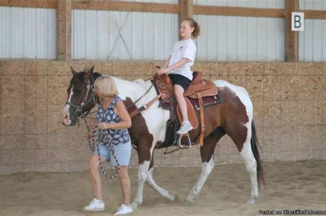 9 Year Old Paint Gelding For Sale Horse For Sale In Cedar Rapids