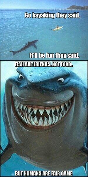 Another Reason I Dont Go In The Ocean Funny Shark Pictures