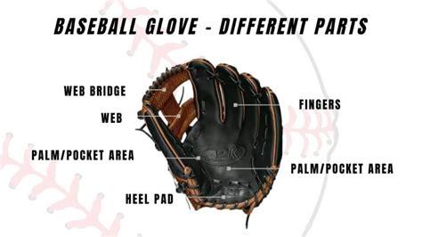How To Measure A Baseball Glove A Step By Step Tutorial For All