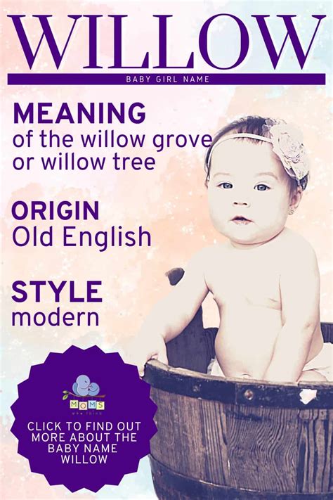 Willow Name Meaning And Origin Middle Names For Willow