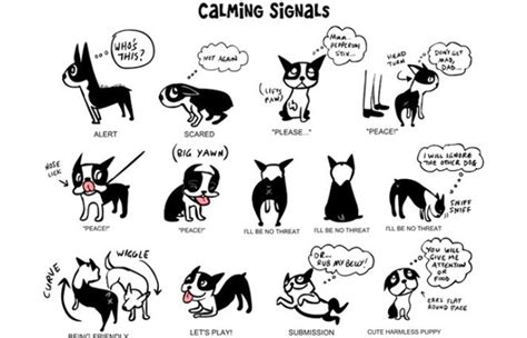 Incredibly Detailed Charts Will Help You Speak Your Dogs Language
