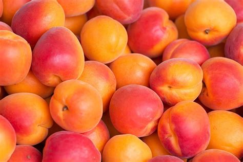 Peaches Wallpapers Wallpaper Cave