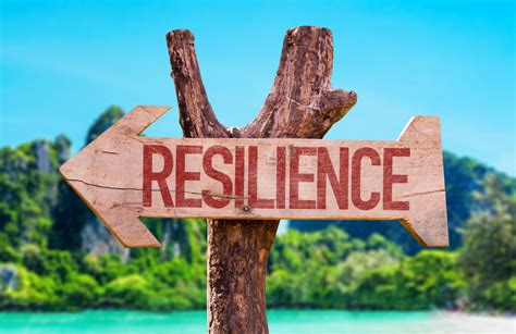 Resilience Cannot Be Learnedit Has To Be Lived Dr Mort Orman