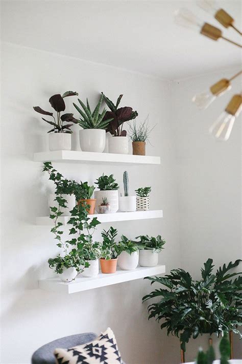 How To Build The Perfect Plant Wall Fit Foodie Finds Artofit