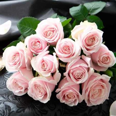 Dozen Pink Rose Bouquet Sending 12 Pink Roses To Japan