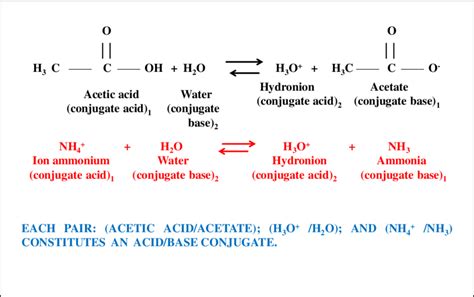 Examples Of Acidbase Conjugate Pairs Download Scientific Diagram