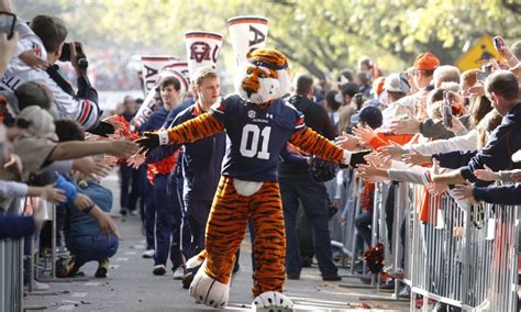 Happy National Mascot Day Best Pictures Of Aubie The Tiger