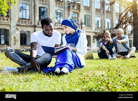 Schade Gras Stockfotos Und Bilder Kaufen Alamy