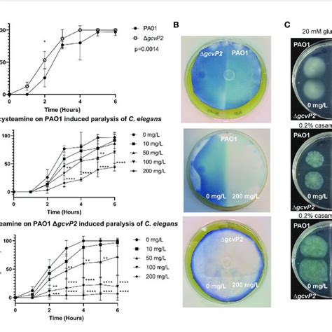 C Elegans Paralysis Assay Hcn Production And Chemotaxis And