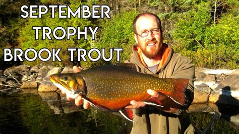 September Trophy Brook Trout Blue Fox Camp Youtube