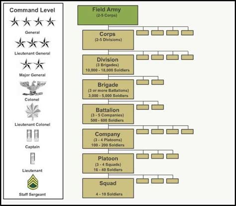 Unit Organization Chain Of Command