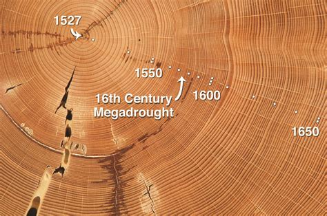 Laboratory Of Tree Ring Research To Debut New Home To Community University Of Arizona News