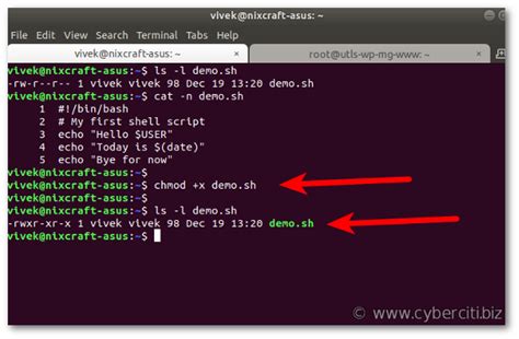 How To Run Executable Files In Linux Systran Box