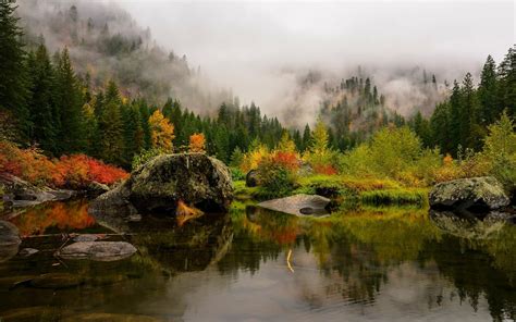 X Landscape Nature Mountain Forest Lake Birds Flying Water Reflection Mist Trees Fall