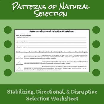 If the variety of bird beak is related to the ability of that beak to acquire food resources, then a bird beak that is better adapted to its environment will be able to acquire more food. Patterns of Natural Selection Worksheet by Erin Frankson | TpT