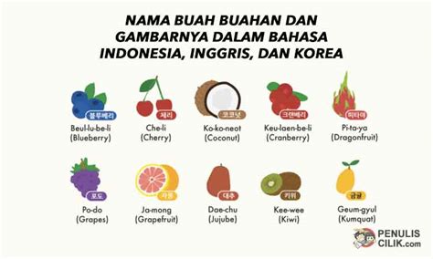 30 Huruf Nama Nama Hewan Dan Gambarnya Bahasa Indonesia Download