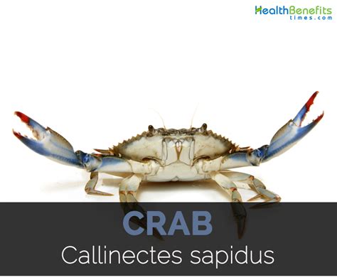 Crab Facts Health Benefits And Nutritional Value