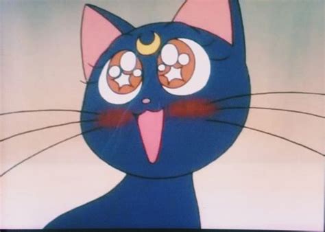 Cat claw correction tape from apollo box. anime, kawaii, and luna image | Sailor moon cat, Sailor ...