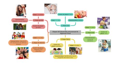 Etapas Del Desarrollo Psicosexual En La Adolescencia