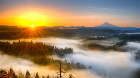 Morning Mist Mountain Sunrise Wallpaper 2560x1440 Qhd Resolution