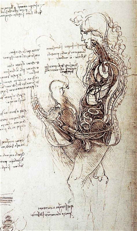 A Drawing By Leonardo Da Vinci I Mean I Get That The Man Was Probably