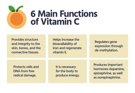 Vitamin C Importance In The Body And The Effects Of Deficiency [explained] Healthy Food Near Me