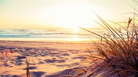 Australian Beach Scene On The Gold Coast Australia Shutterstock