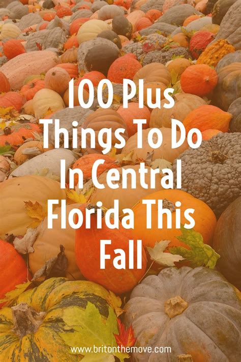 are you looking for things to do in central florida this fall here is your complete guide to