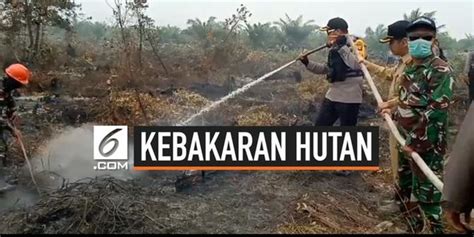 VIDEO Polisi Segel Perusahaan Pembakar Hutan Dan Lahan Enamplus