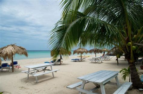 Fun Holiday Beach Resort Negril Reviews Photos Room Rates