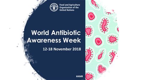 The World Antibiotic Awareness Week Celebrations Fao Regional Office