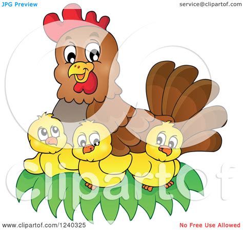 chick and hens clipart clipground