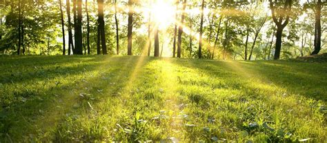 Outdoors: Top tips for the best possible photos | The Daily Gazette