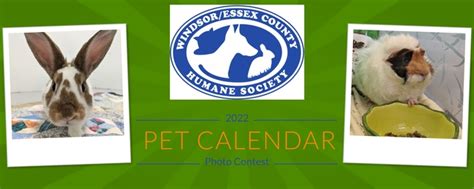 Windsor/Essex County Humane Society | WECHS 2022 Pet Calendar Contest