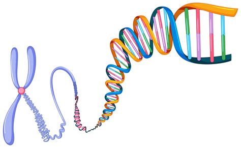 Dna Symbol On White Background 434529 Vector Art At Vecteezy