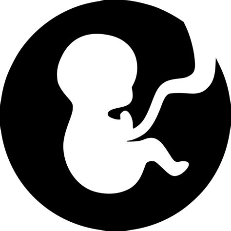 Birth Svg Png Icon Free Download Baby In Womb Transparent Background