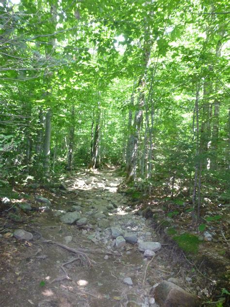 Further up the Old Bridle Path Trail. Starting to get rocky... White