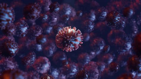 Coronavirus Virus Bacteria Disease In Stock Motion Graphics Sbv