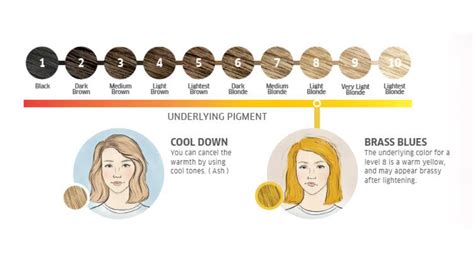 Bleaching Hair Level Chart