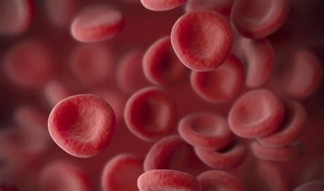 Understanding How Red Blood Cells Grow Up Asian Scientist Magazine