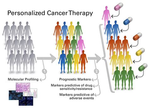 Personalized Cancer Therapy
